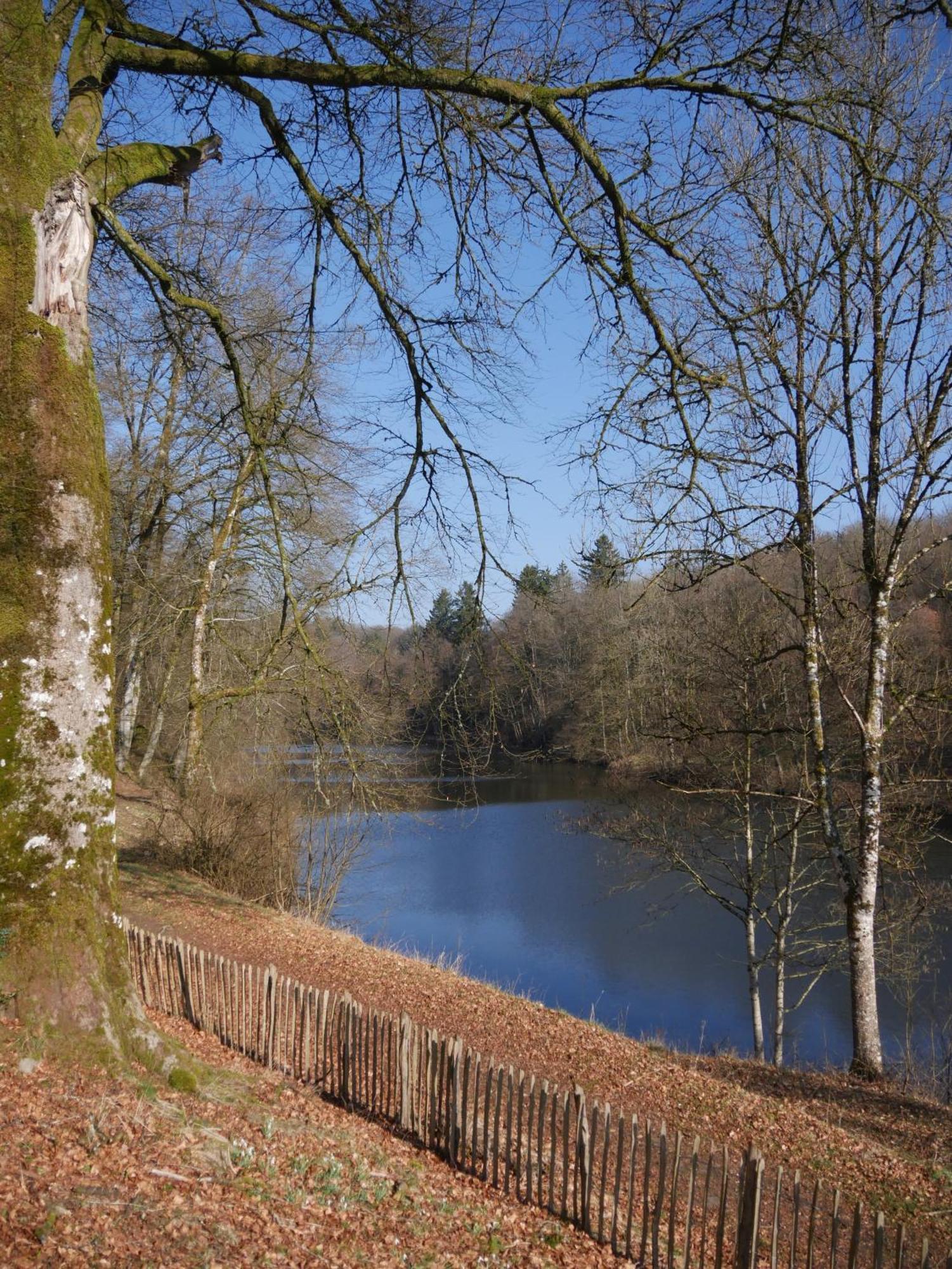 Chateau Du Pont D'Oye Habay-la-Neuve ภายนอก รูปภาพ