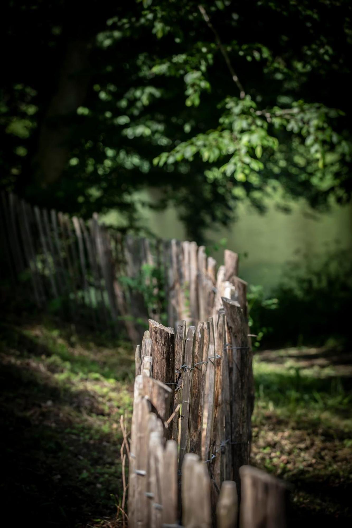 Chateau Du Pont D'Oye Habay-la-Neuve ภายนอก รูปภาพ
