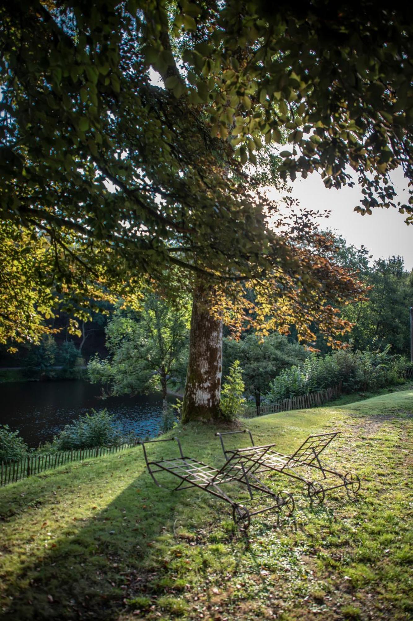 Chateau Du Pont D'Oye Habay-la-Neuve ภายนอก รูปภาพ